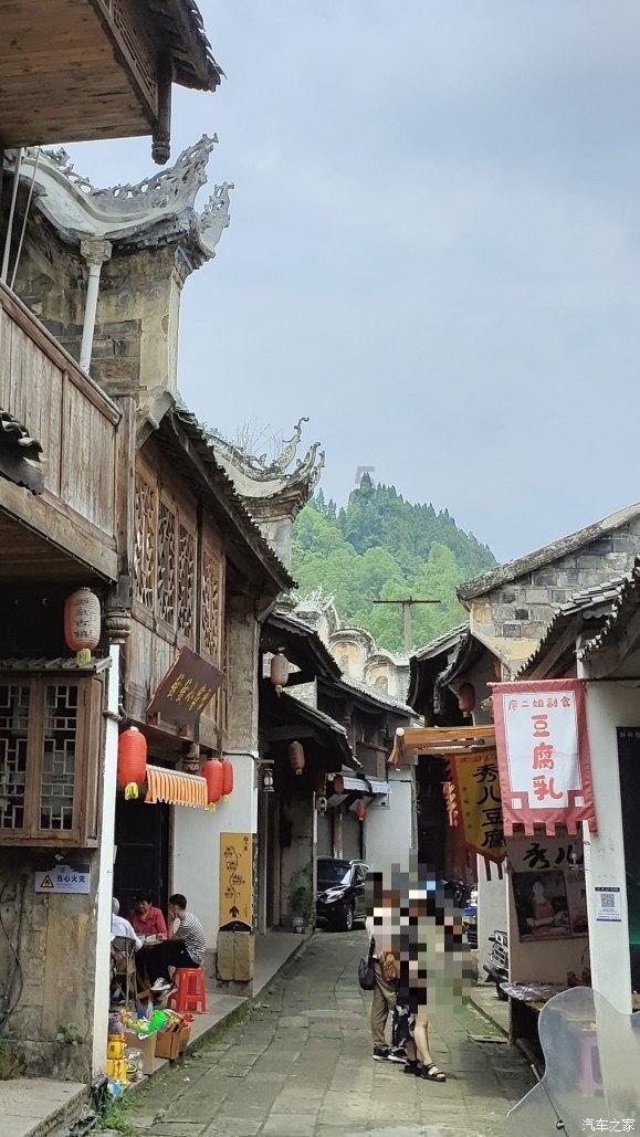 饥饿的哈利